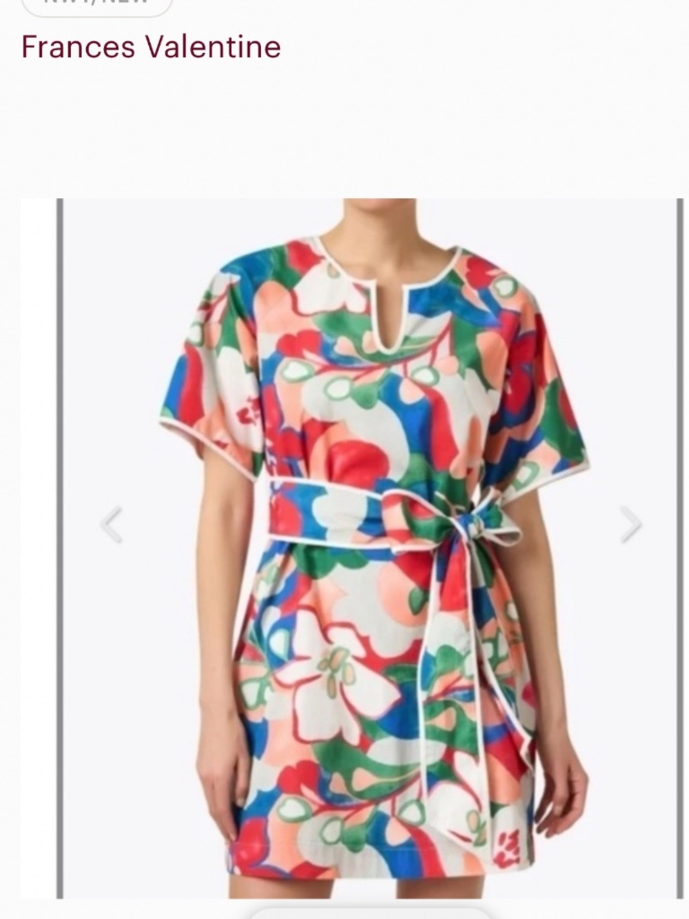 NWT FRANCES VALENTINE DORIS DRESS IN DREAMY DAISIES, SIZE SMALL